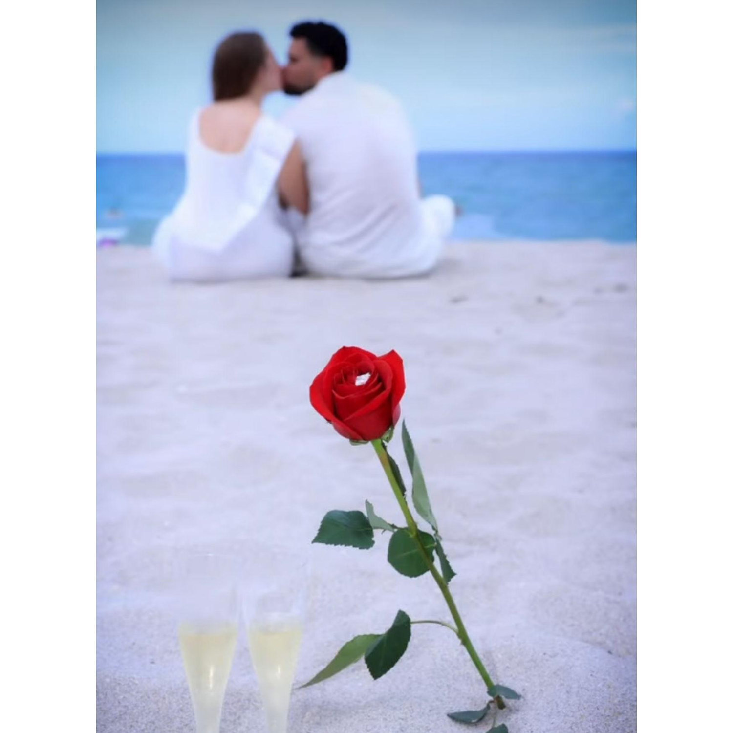 Engagement, July 2024