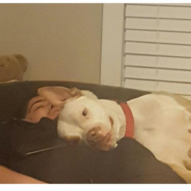 He still pretends that he doesn't like my dog.... but he warmed up pretty fast.