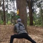 Golden Gate Park Disc Golf Course