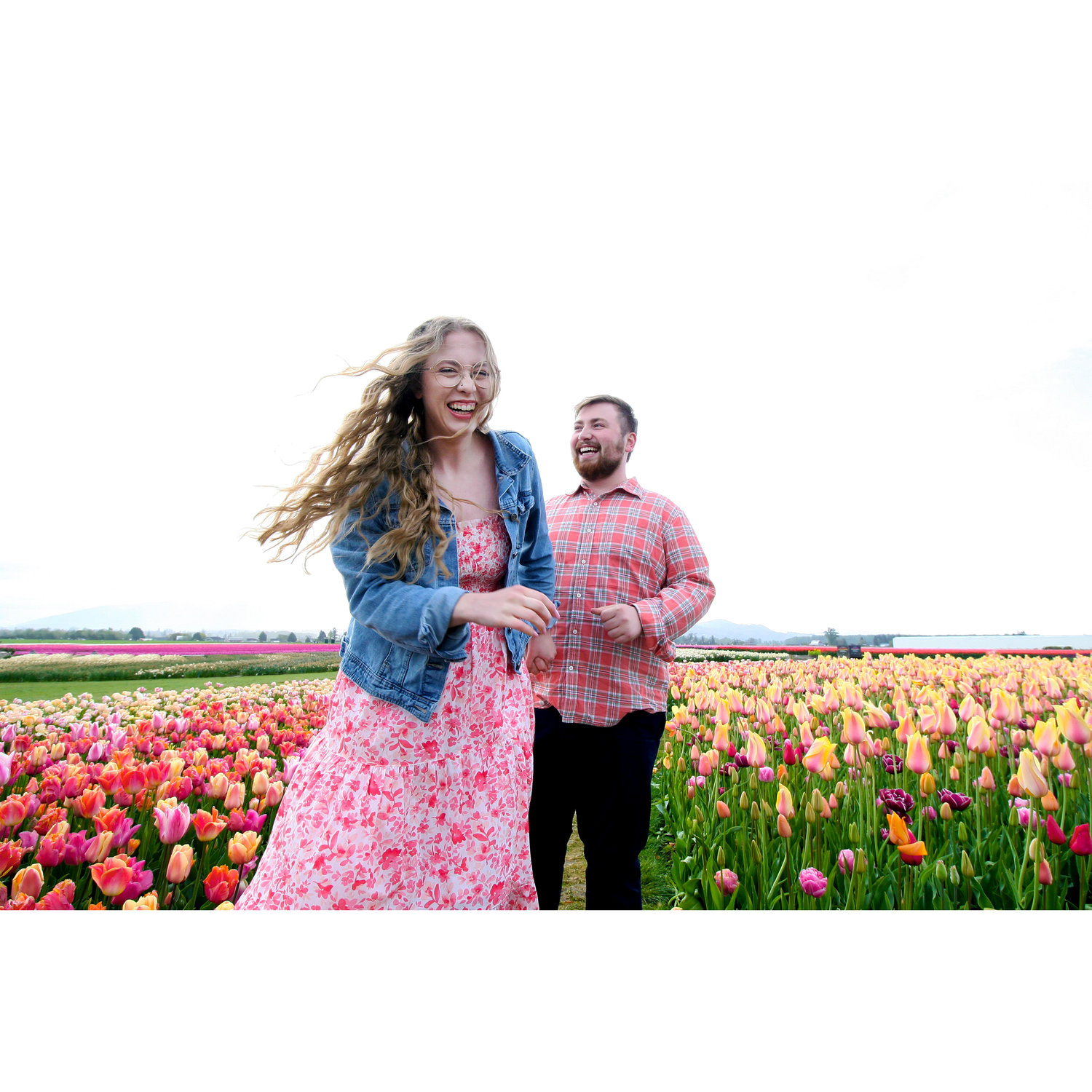 Skagit Valley Tulip Festival