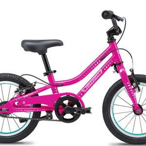 Guardian 14 Inch Bike