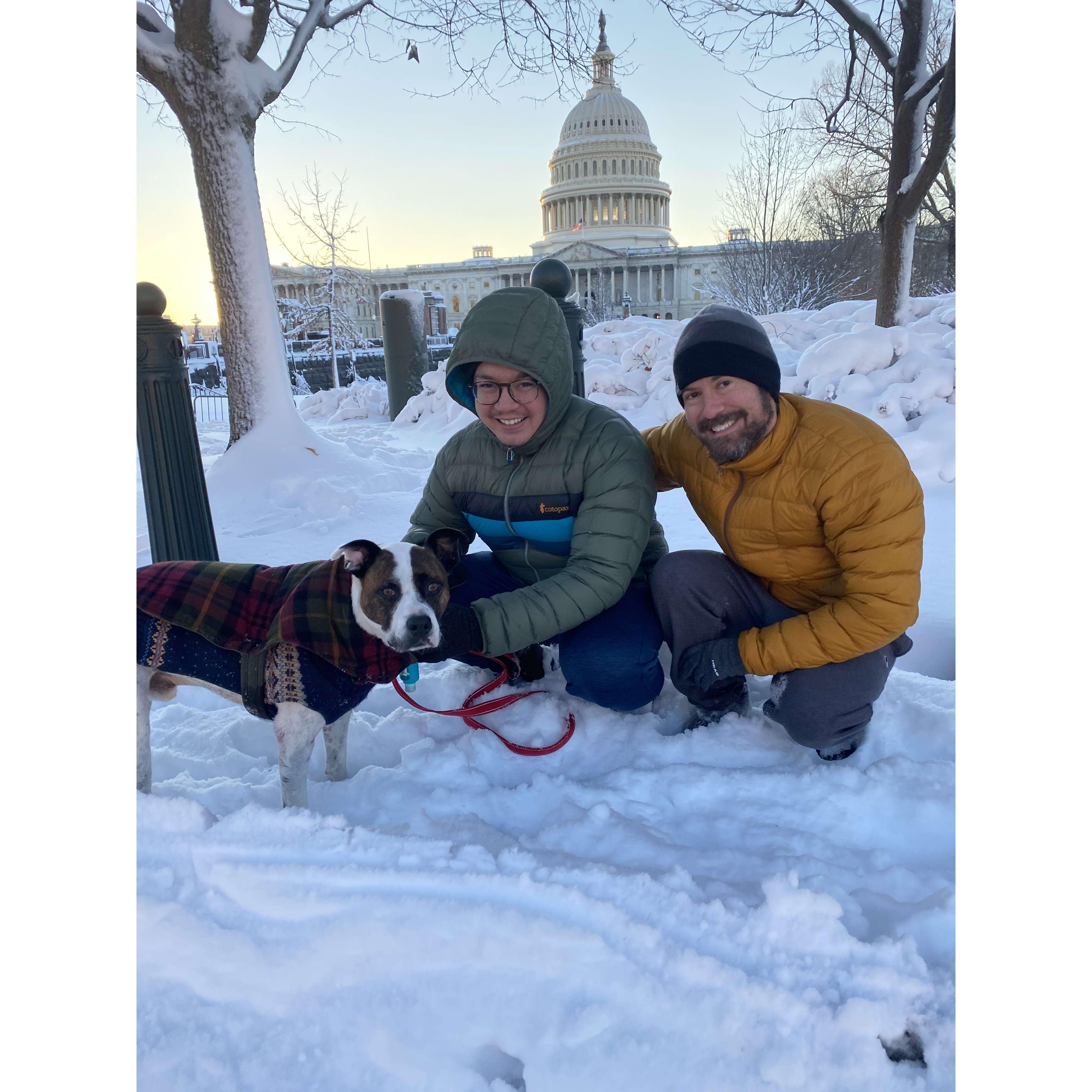 Snow days with our pup!