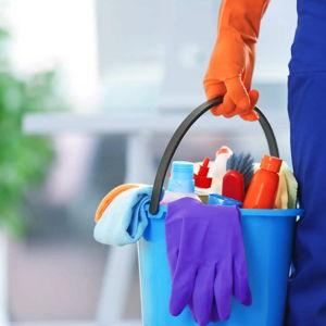 Professional House Cleaning Yearly Subscription