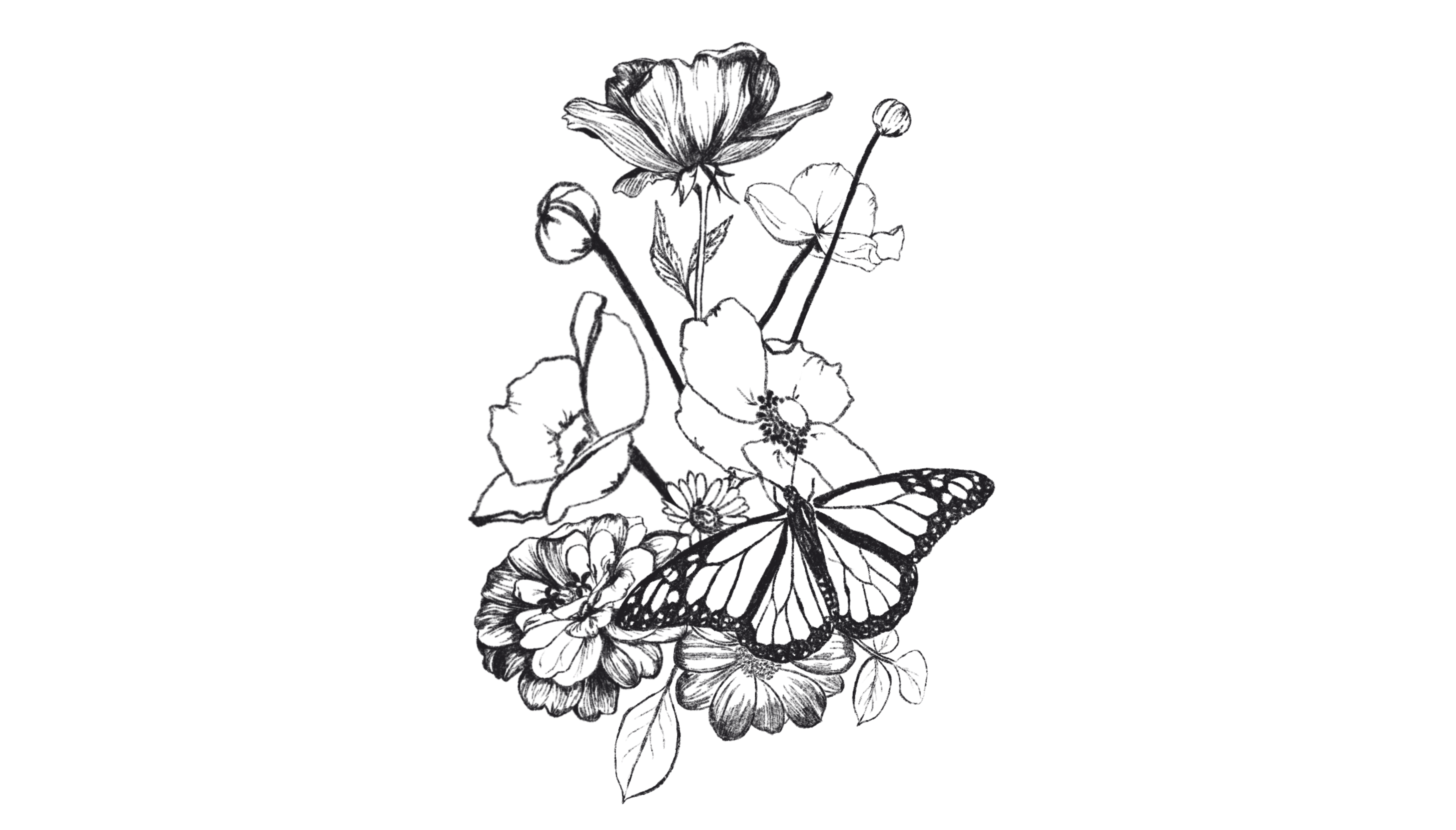 b941c2b8-a851-4218-bae8-8166e87a9580