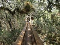 Myakka River State Park