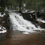 Morgan Falls