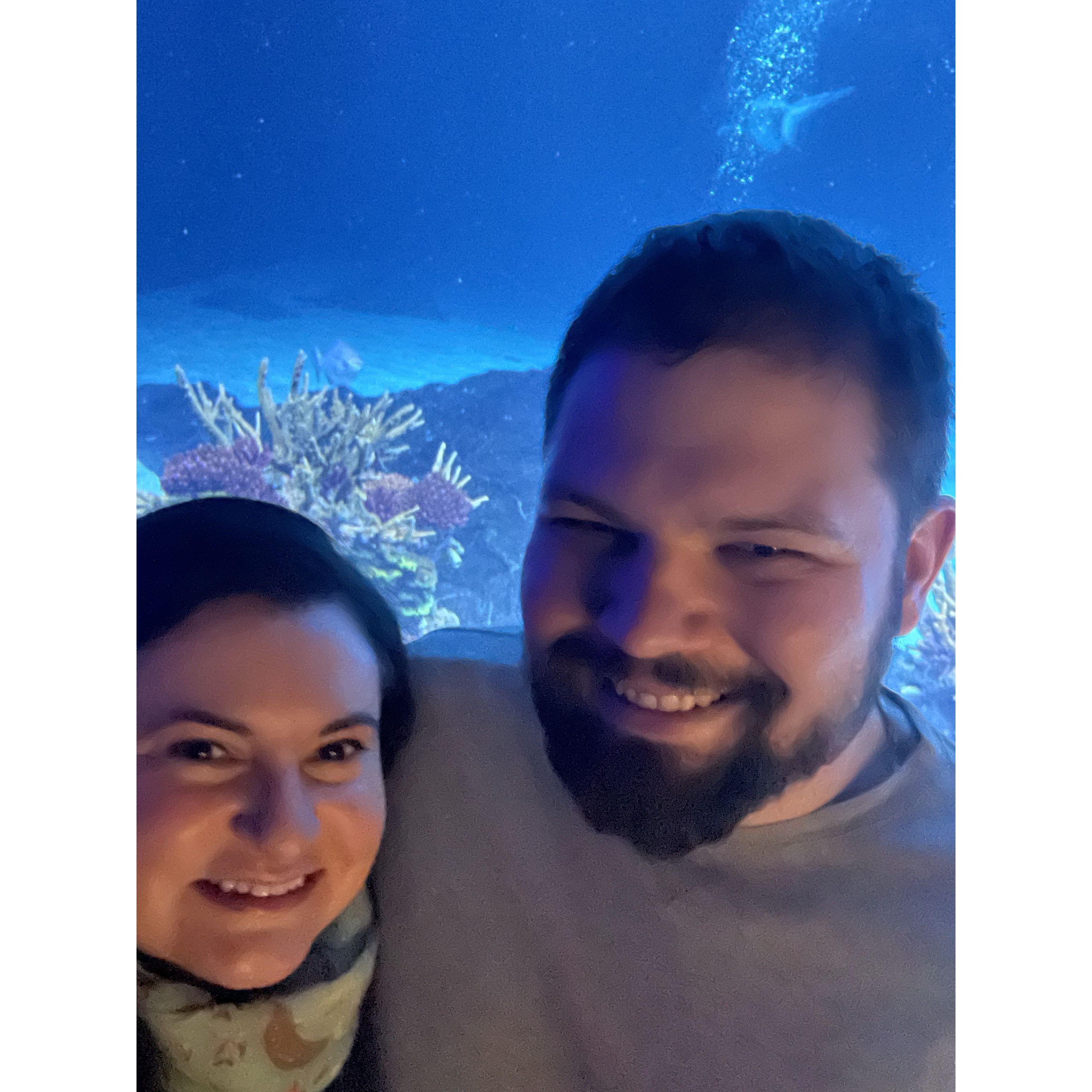 At the aquarium