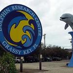 Dolphin Research Center
