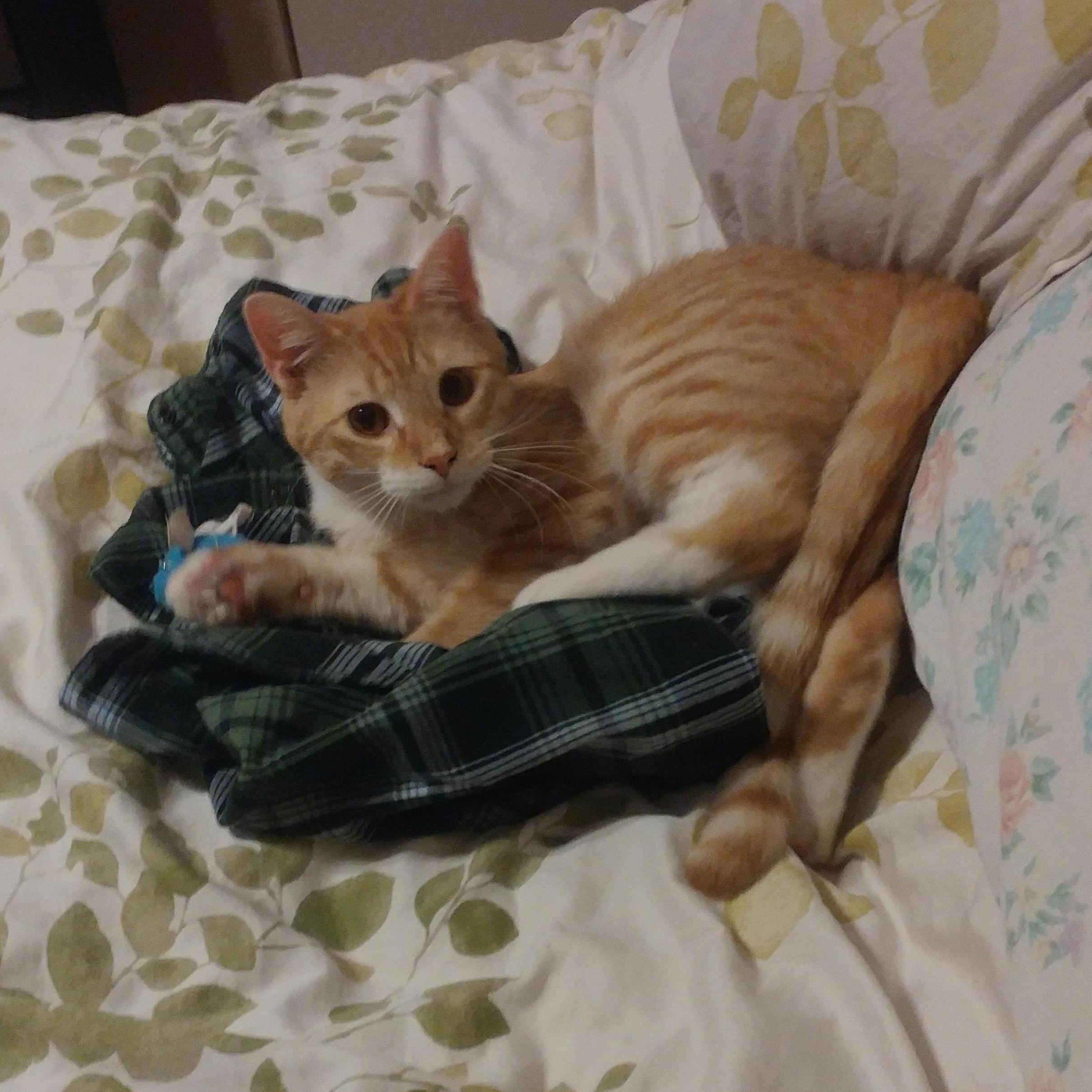 Aldo Leopold (Leo) -baby #2