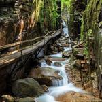 The Flume