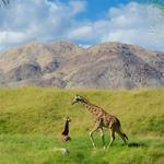 The Living Desert Zoo and Gardens