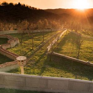 Day Three in Chianti: Castello di Ama Wine + Art Tour