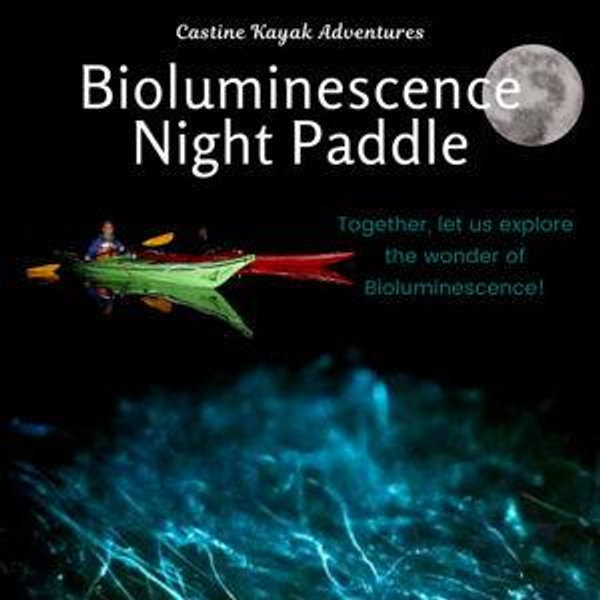 Kayaking on the Bioluminescent Bay