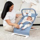 Alpine Deluxe Portable Bouncer