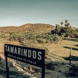 Tamarindos