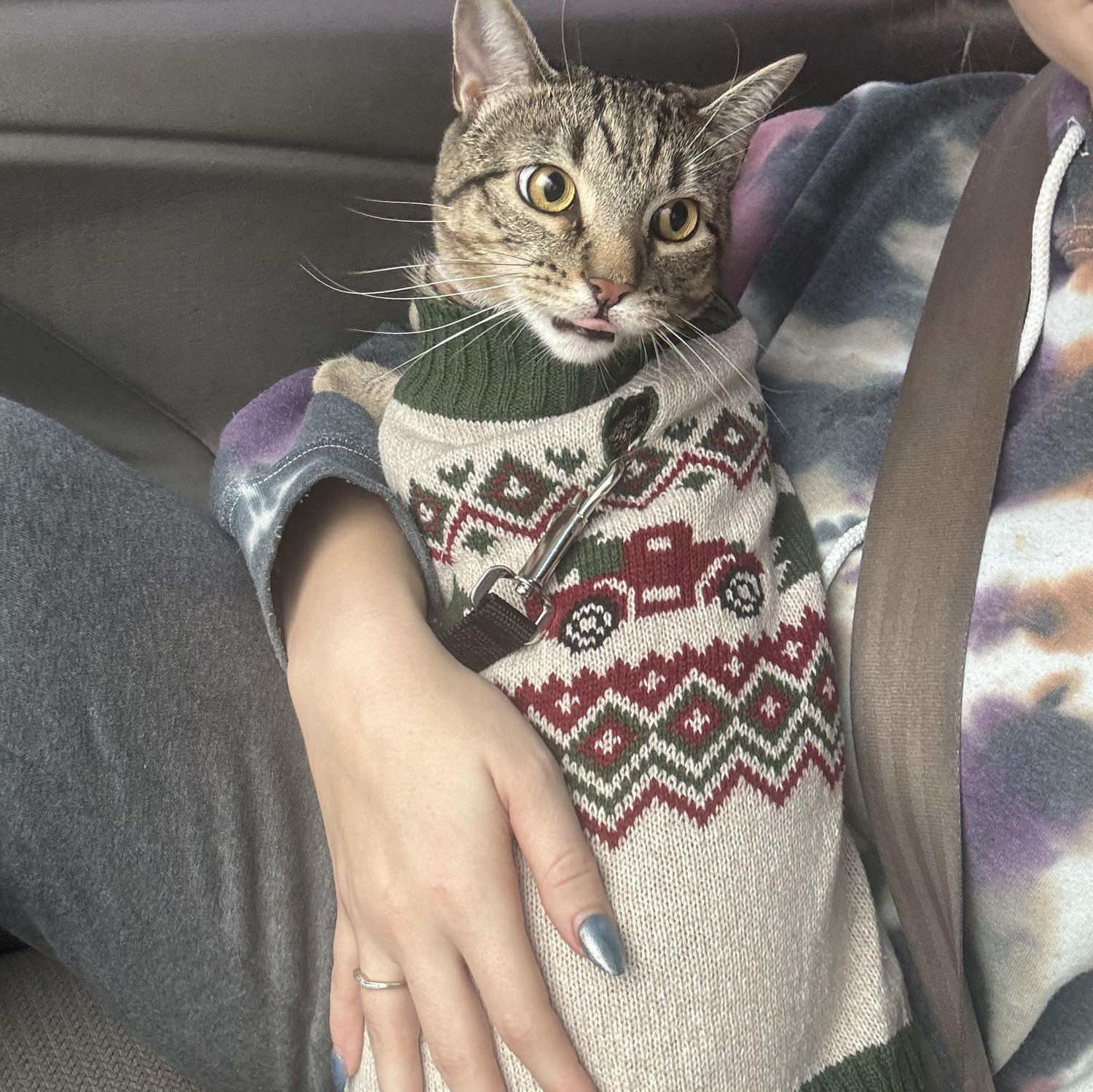 Miss on the way to see Santa, she loved it
