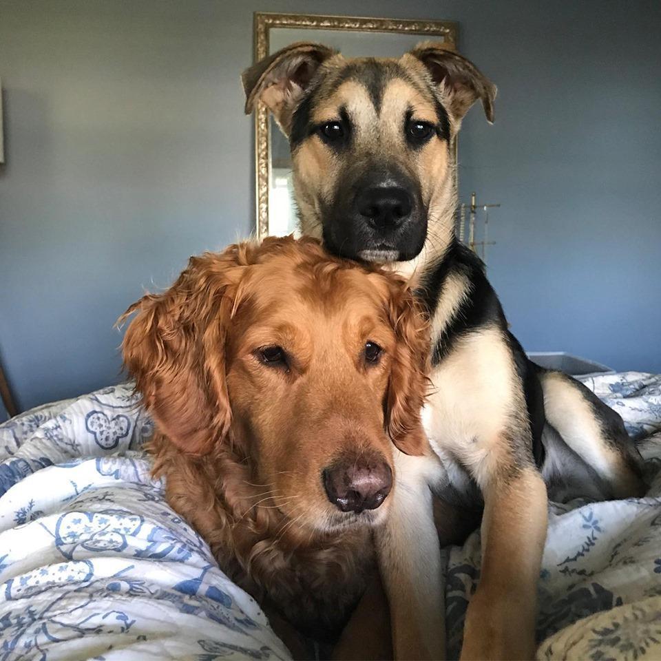Our snuggle bugs!
