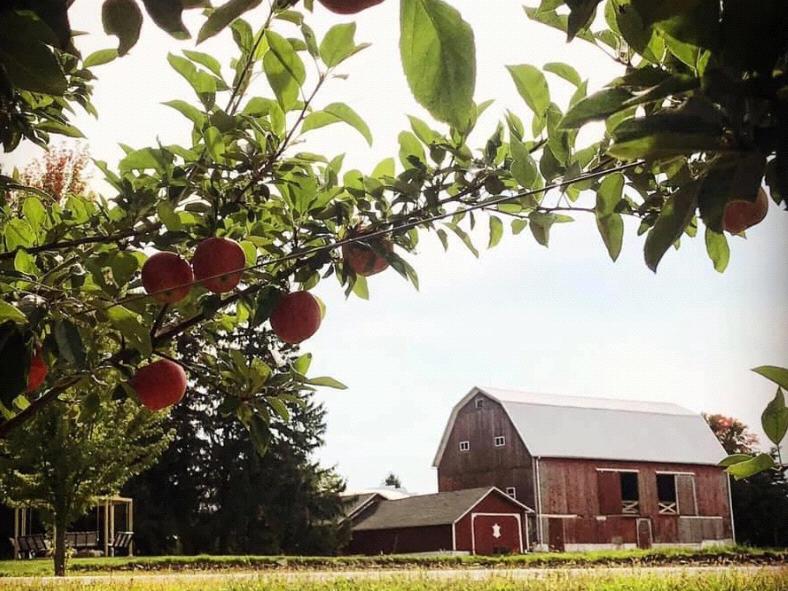 The Wedding Website of Kaitlin Brand and Austin Freeland