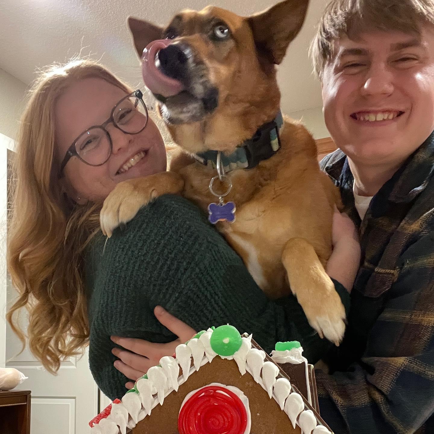 Gingerbread year 3