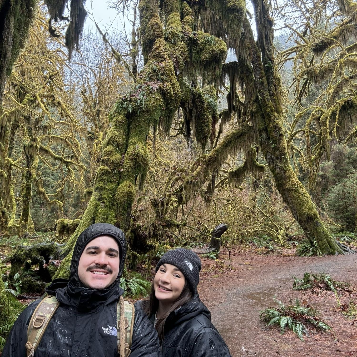Hoh rain forest 💚