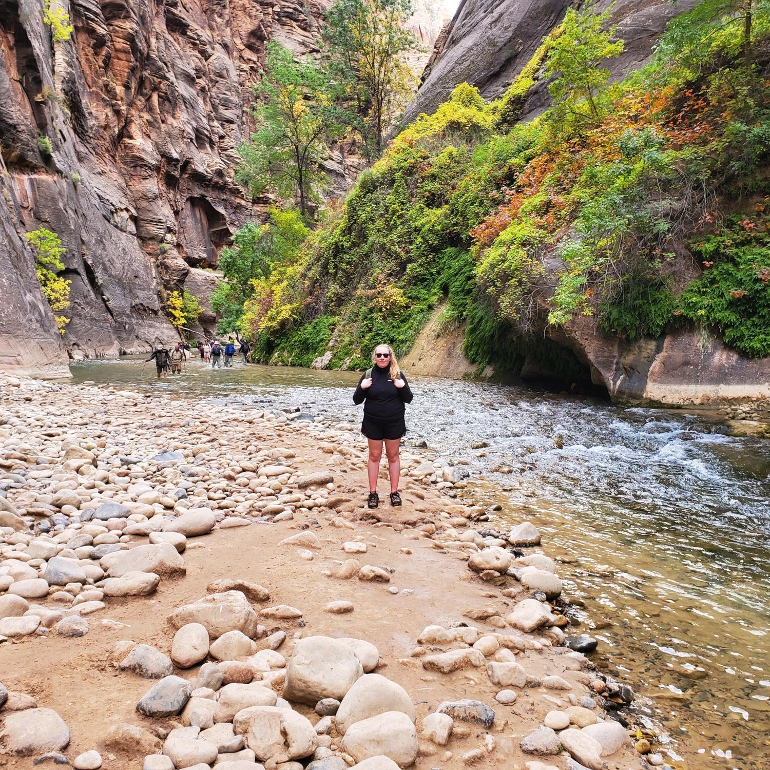 Road Trip 2019 (Zion National Park)