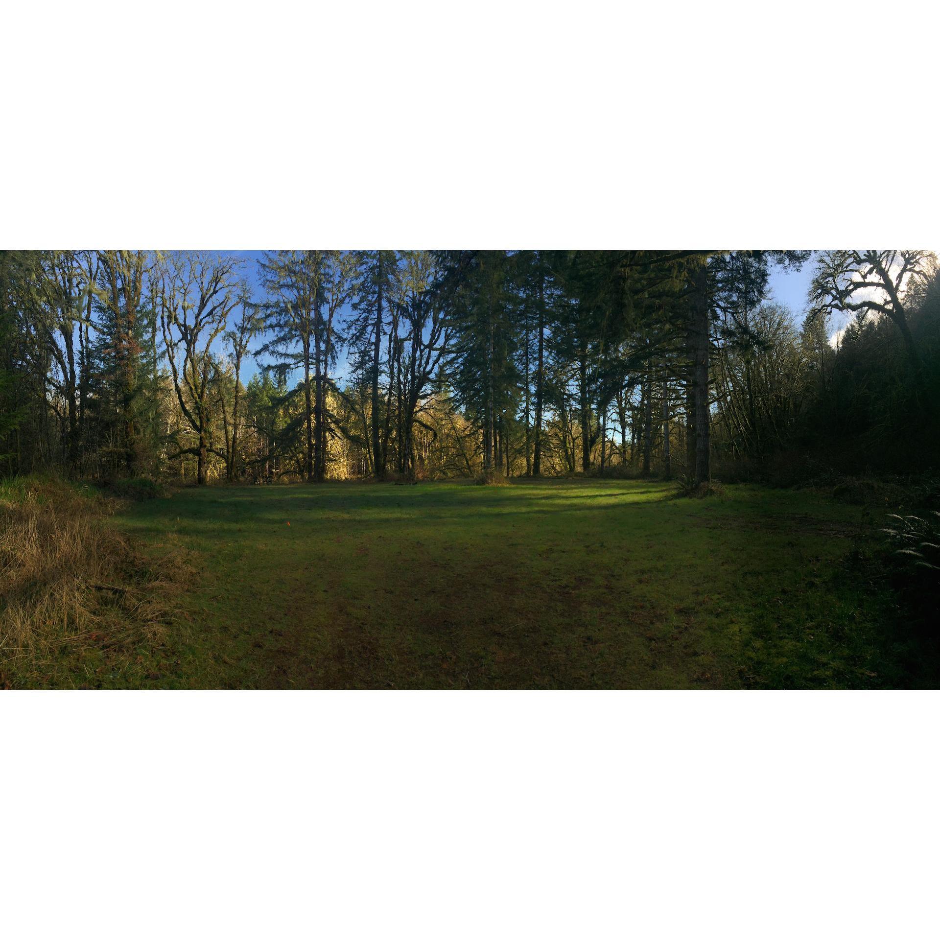 Alsea Oregon property.