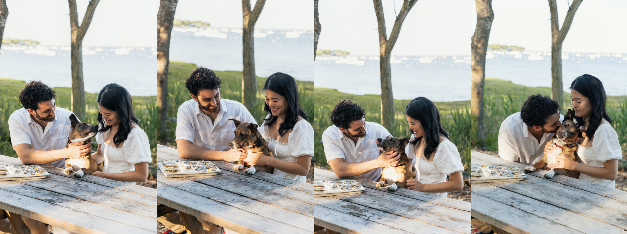 The Wedding Website of Manavi Nagai and Derek Asack