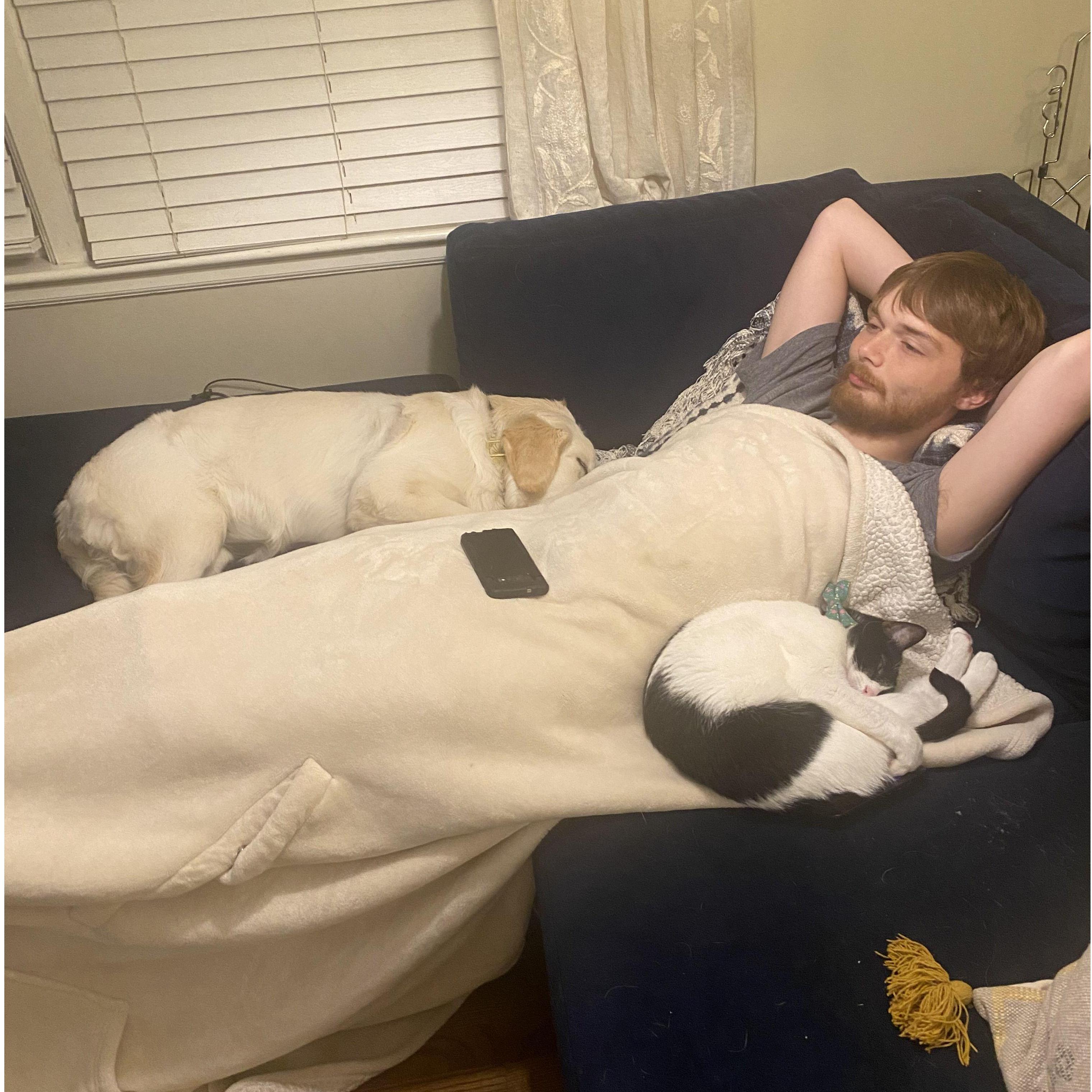 Furry snuggles