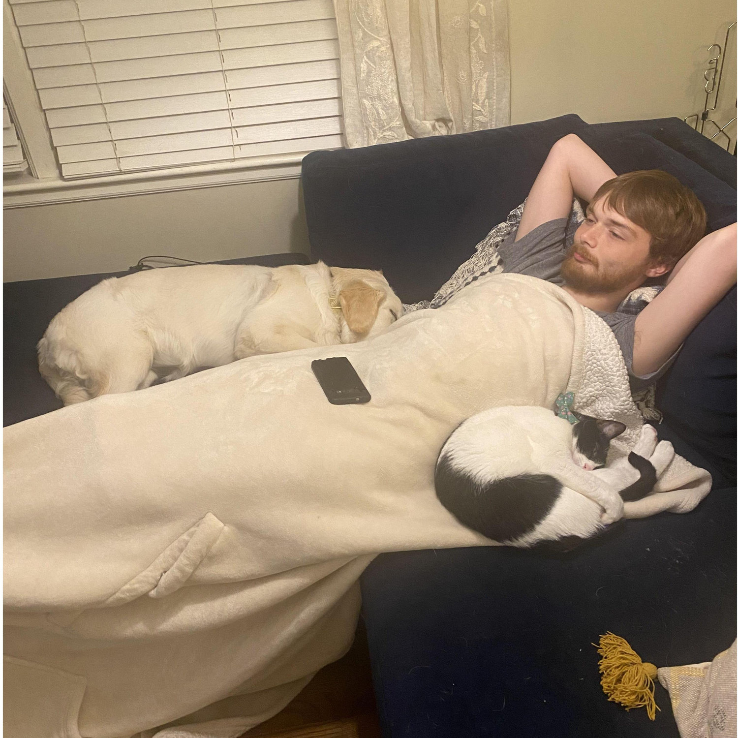 Furry snuggles