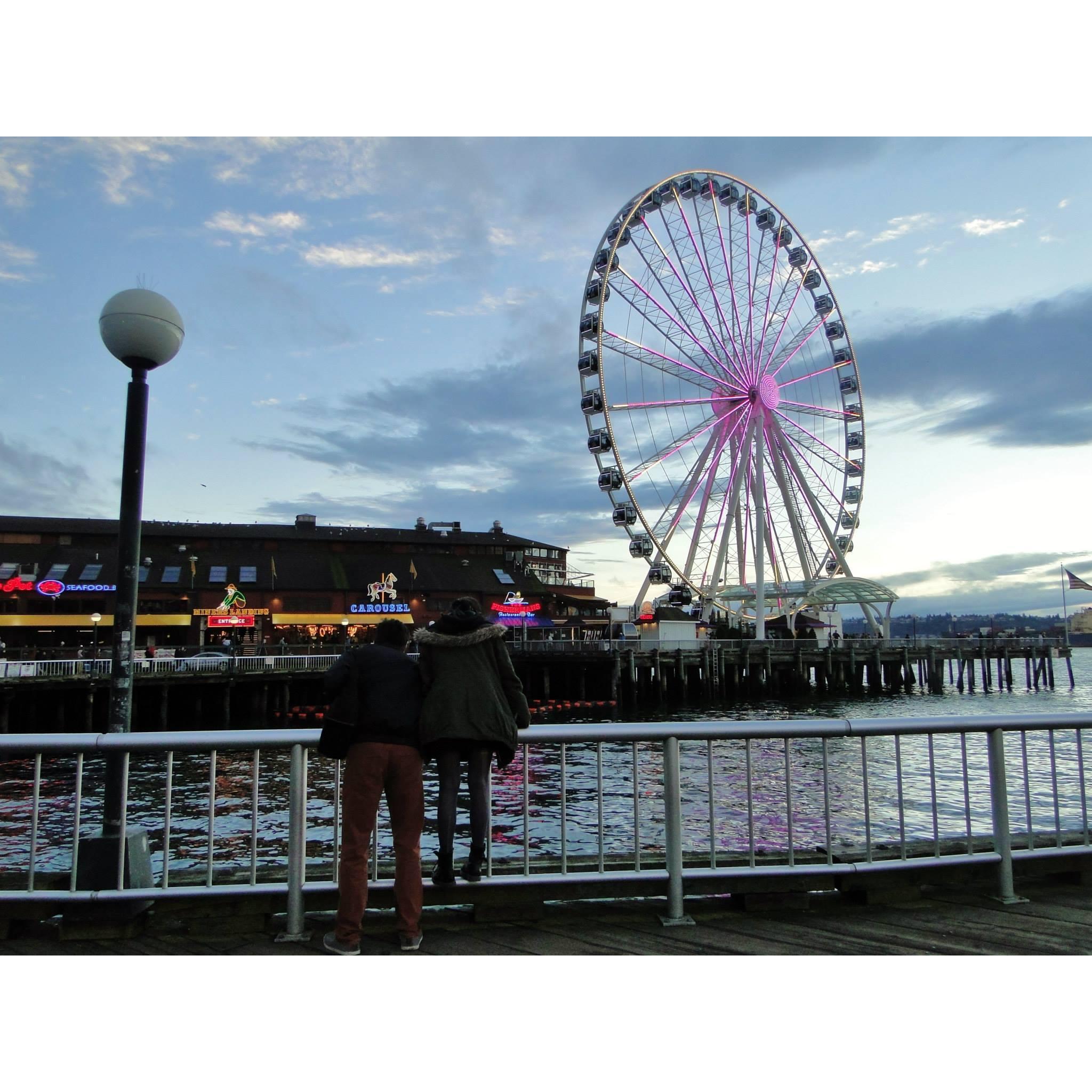 Looking for seals in Seattle