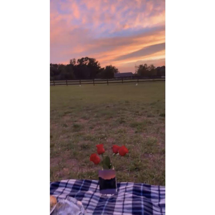 7/22/22- Landon officially asks Hannah to be his girlfriend! He surprised her with a picnic by her front pasture at sunset, complete with chicken pot pie and roses (her favorite)!