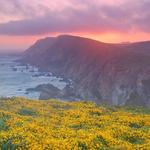 Point Reyes National Seashore