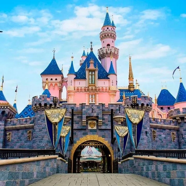 Disneyland fund