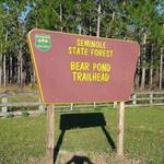 Seminole State Forest-Bear Pond Trailhead