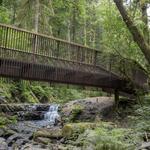 Forest Park