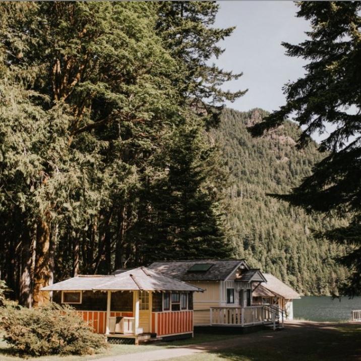 More cabins!