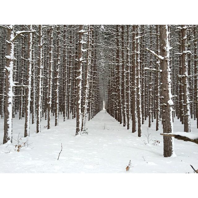 February 19th, 2015:
Emilio took this while trekking through the snows of Northern Michigan with Samantha. 🌨️