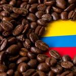 Coffee Tours