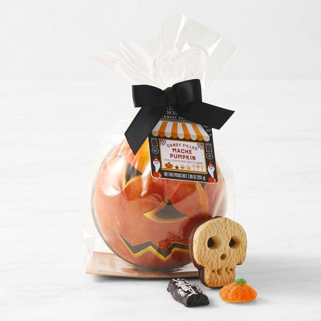 Williams Sonoma Pumpkin Mache Ball