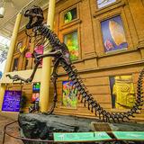 Denver Museum of Nature & Science