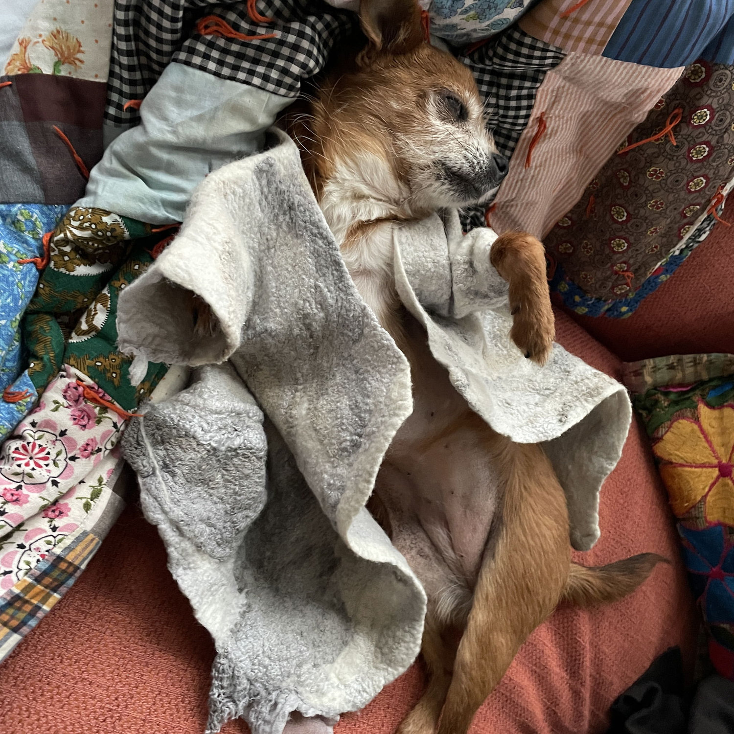 She's always the belle of the ball