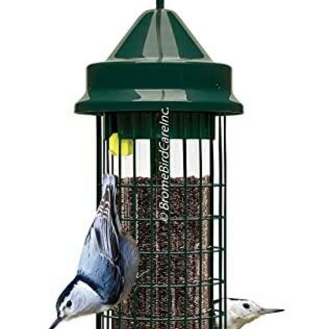 Squirrel Buster Classic Squirrel-proof Bird Feeder w/4 Feeding Ports, 2.4-pound Seed Capacity