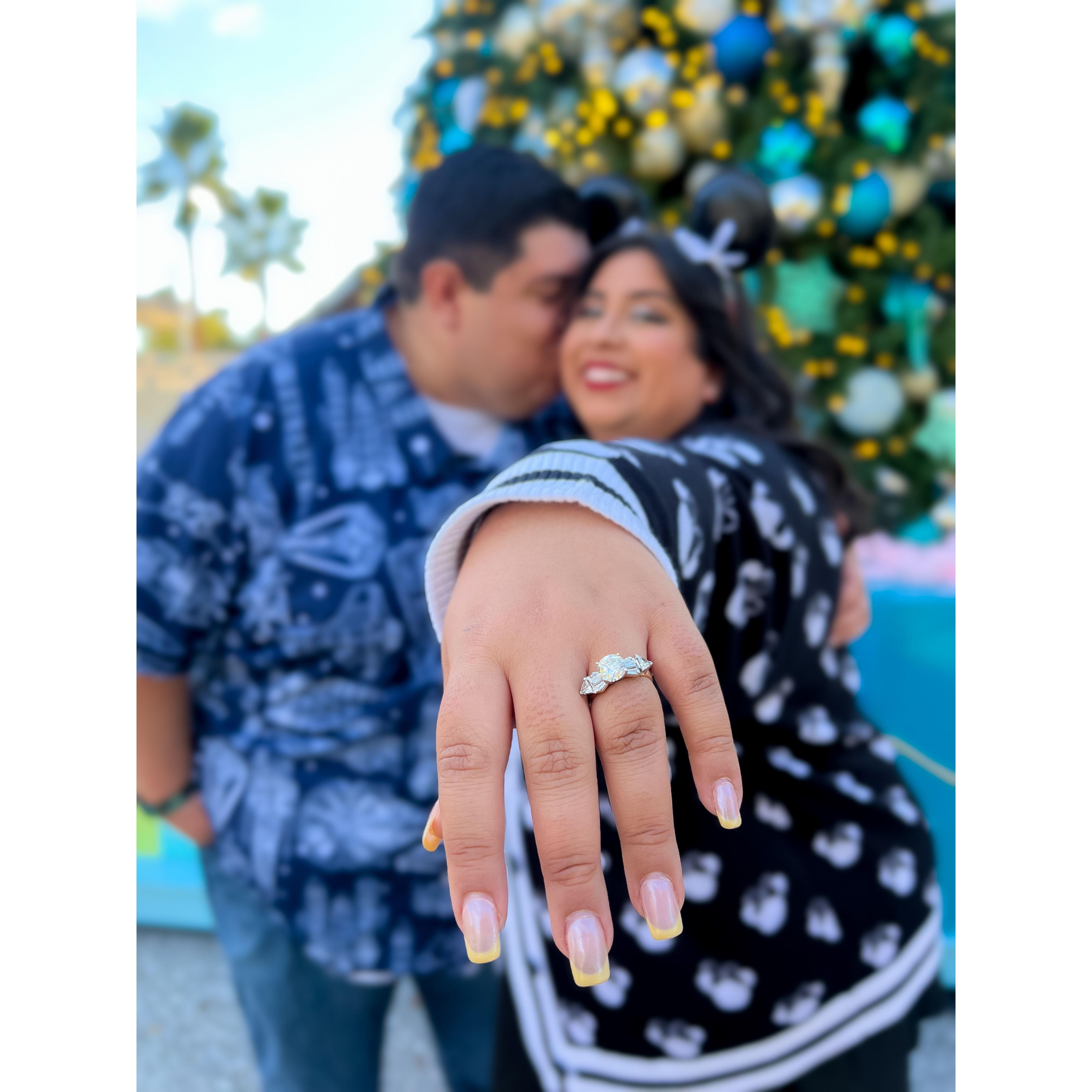 November 17, 2024- The easiest yes! Or I guess in Elizabeth's case, "yep" IYKYK