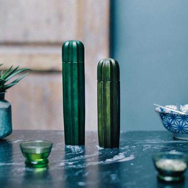 Cacti