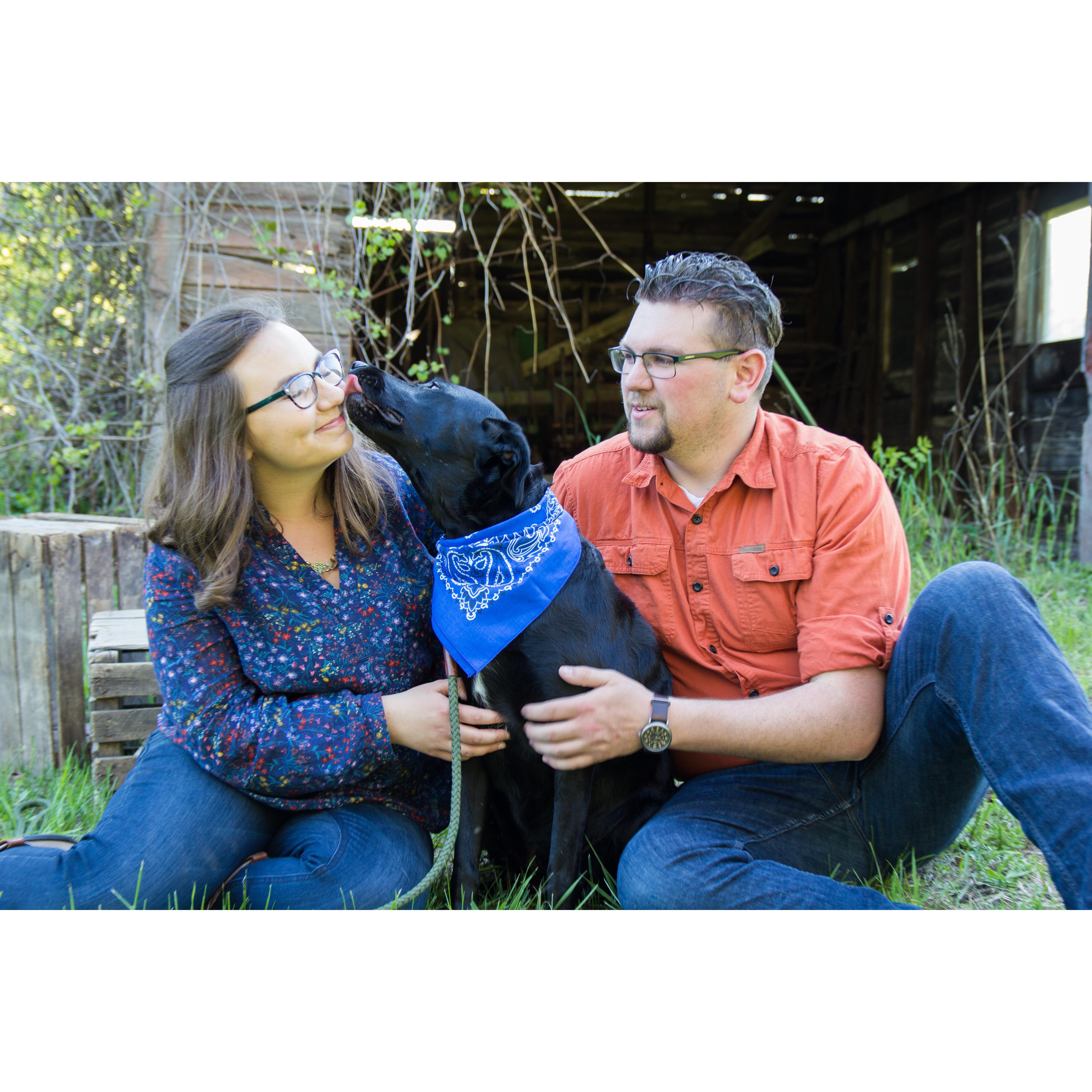 Loki loves to give kisses!