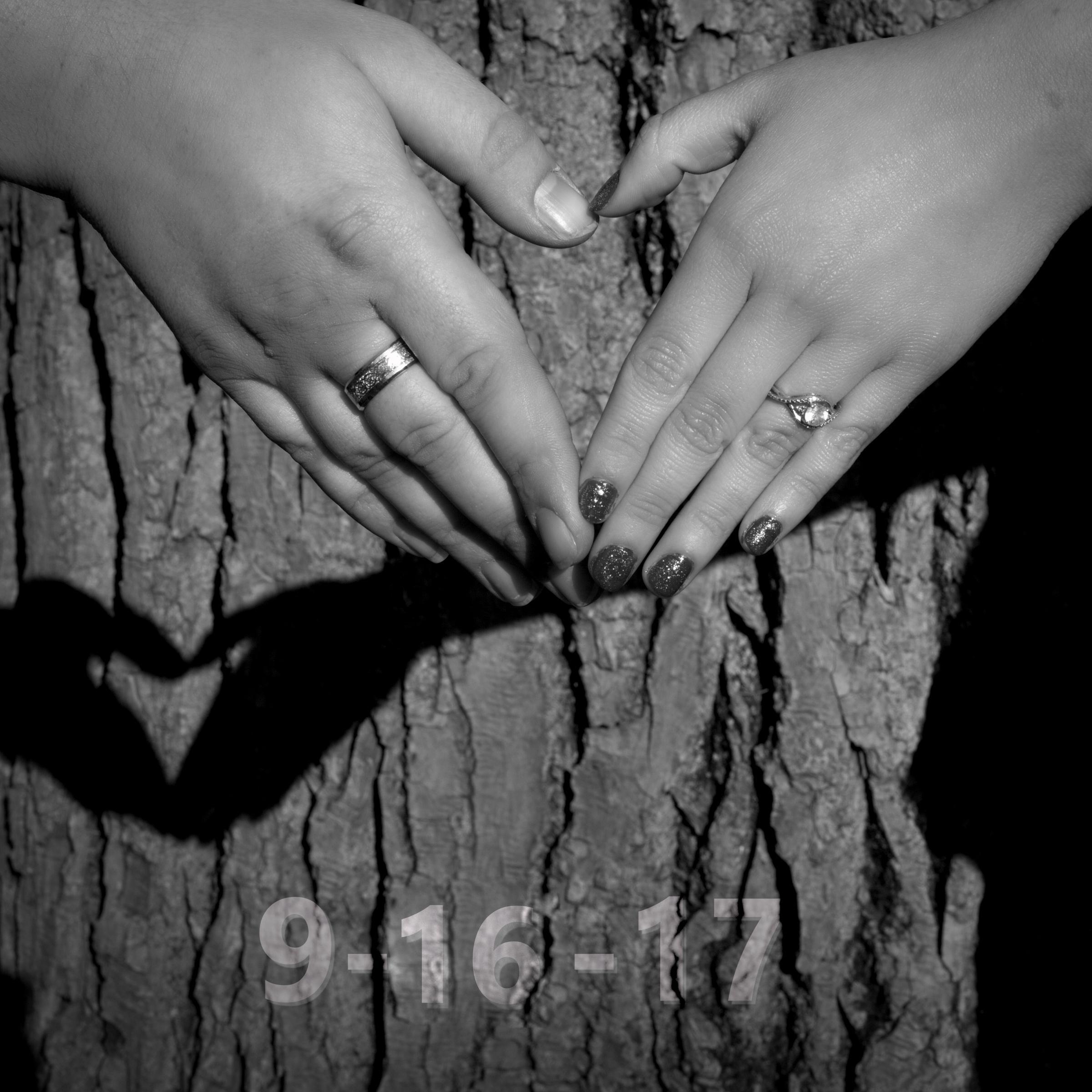 http://www.a2zphoto.photo/
AJ Ziemak