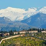 Hike in the Sierra Nevada