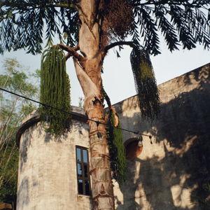 Film Camera Fund <<33