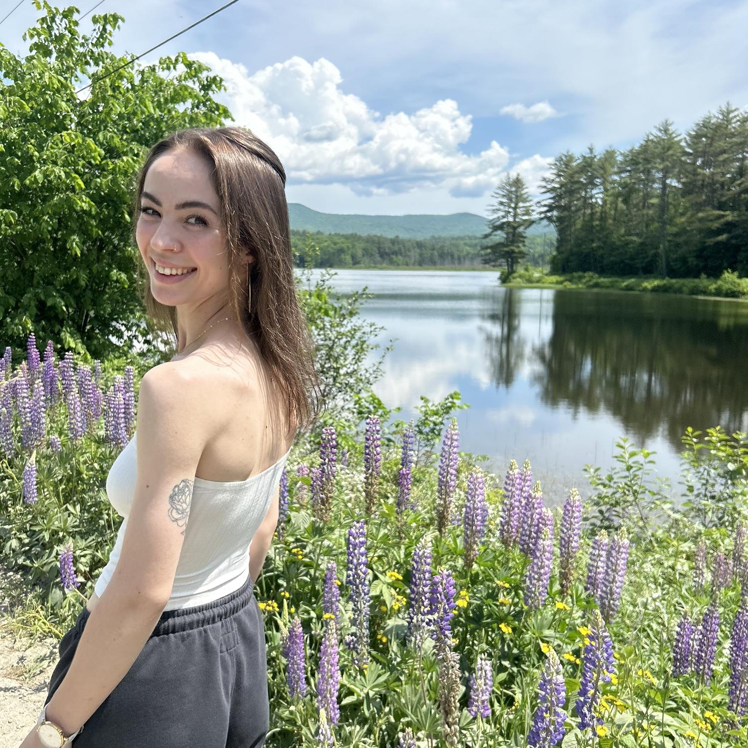 Lupins, Sugar Hill, NH