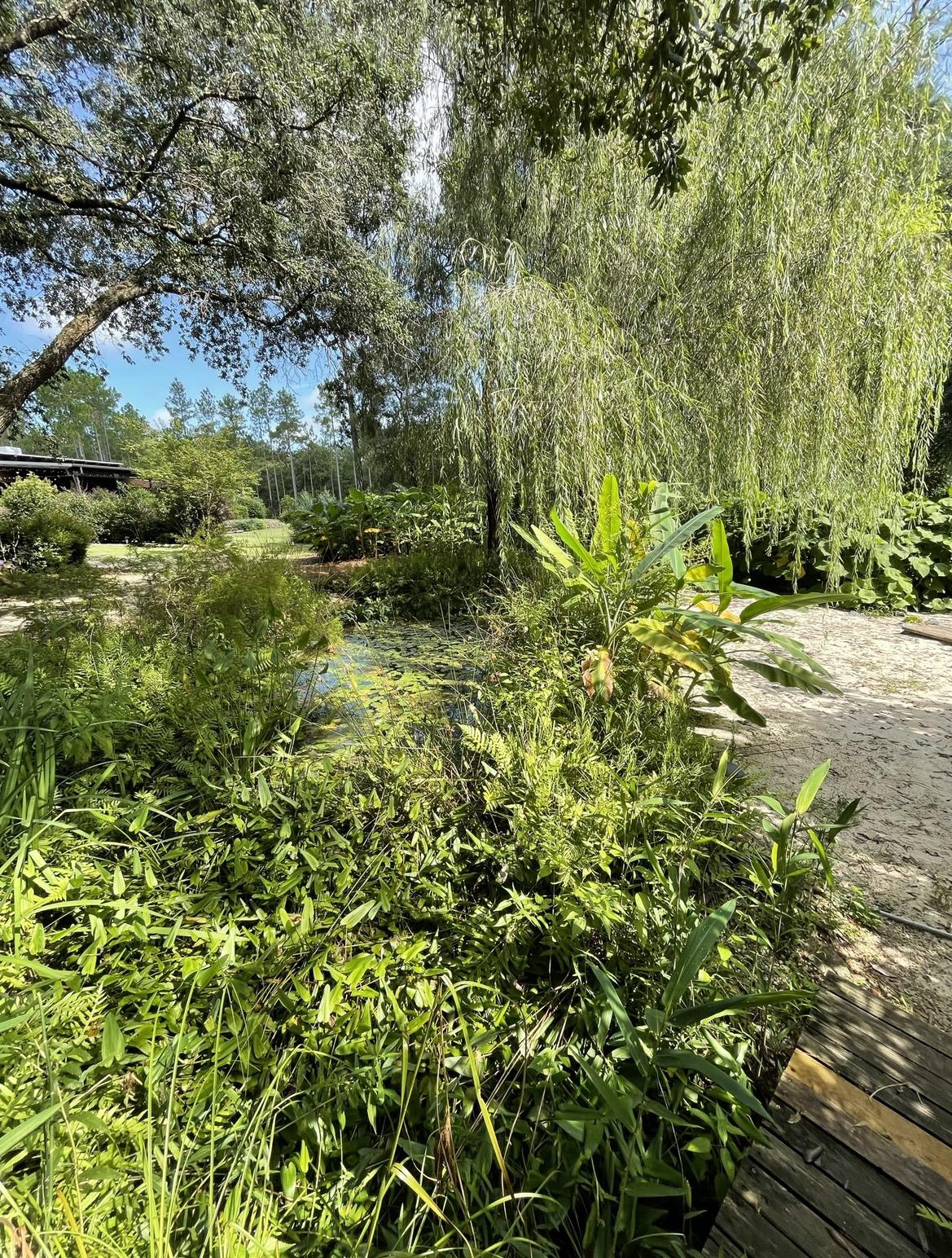 Some of the Gardens